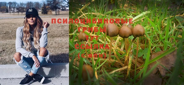 соль курить ск Волосово