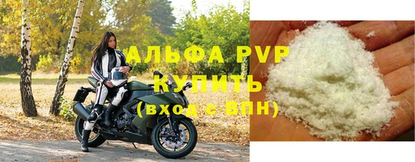 прущие грибы Волоколамск