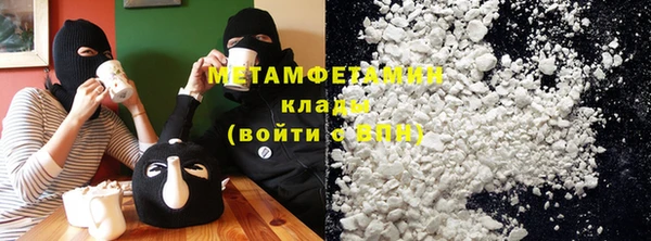 прущие грибы Волоколамск