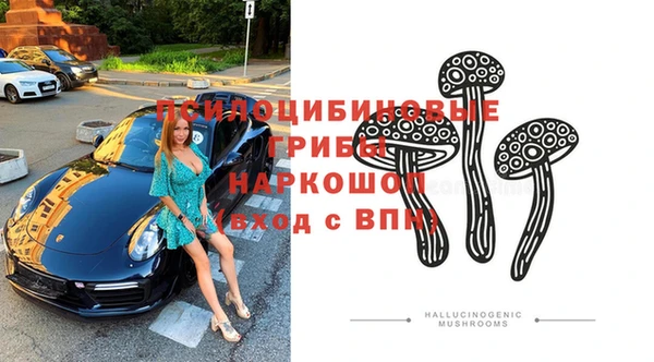 прущие грибы Волоколамск