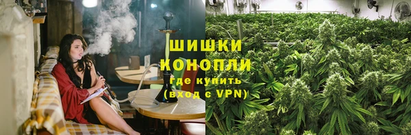 прущие грибы Волоколамск