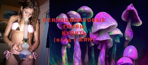 молекула духа Володарск