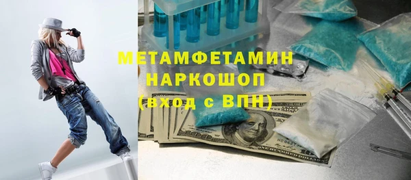 прущие грибы Волоколамск